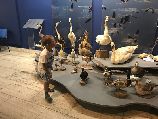 Thalassa Museum